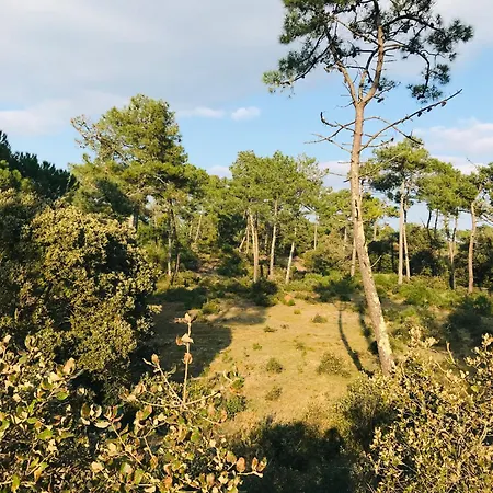 Maison Piscine Foret Du Victoria